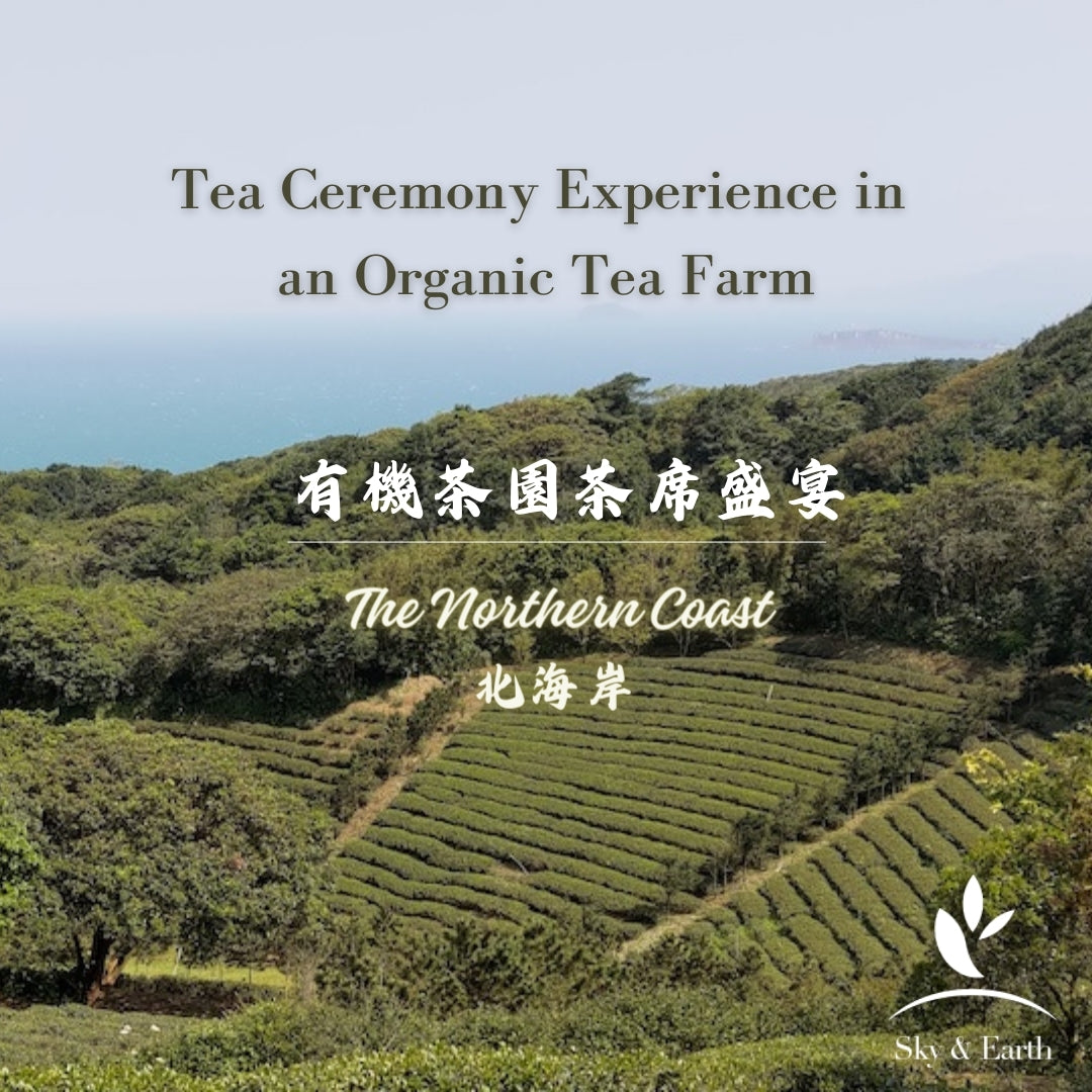 TEA CEREMONY EXPERIENCE IN AN ORGANIC TEA FARM (NORTHERN COAST)