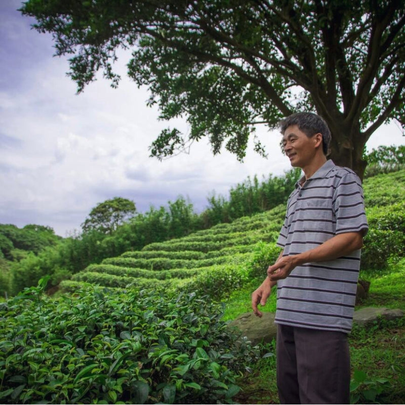 “Zhen.Pen.Tea.Yen” Handcrafted Aliban Black Tea (75g)